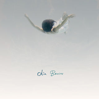 the album cover for Dia Frampton - Bruises