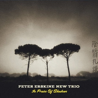 the album cover for Peter Erskine New Trio - In Praise Of Shadows