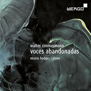 the album cover for Nicolas Hodges - Voces Abandonadas
