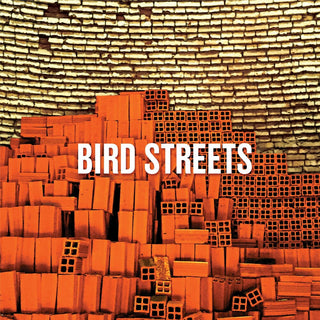 the album cover for Bird Streets - Bird Streets