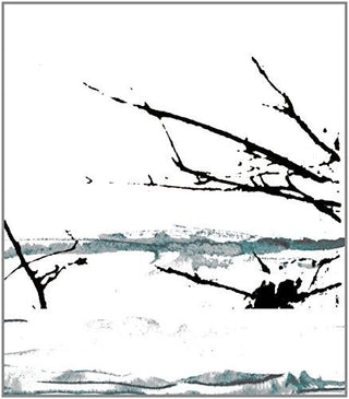 the album cover for Tenhi - Vare (Blk) [Limited Edition] [180 Gram]