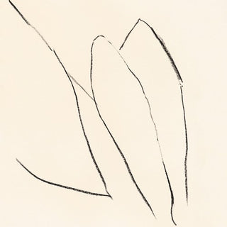 Jon Porras- Voices Of The Air