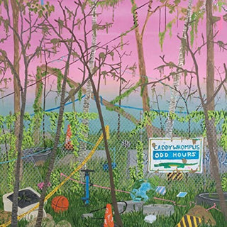 the album cover for Caddywhompus - ODD HOURS