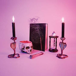 the album cover for Puppy - The Goat