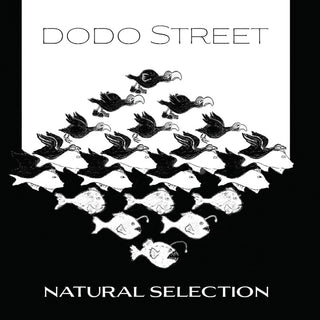 the album cover for Adams / Dodo Street Band / Byrne - Natural Selection