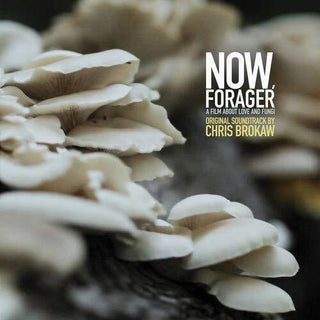 Chris Brokaw- Now Forager (Original Soundtrack)
