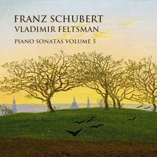 the album cover for Schubert / Feltsman - Piano Sonatas 5