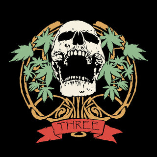 the album cover for Lightbulb Vaporizer - Three