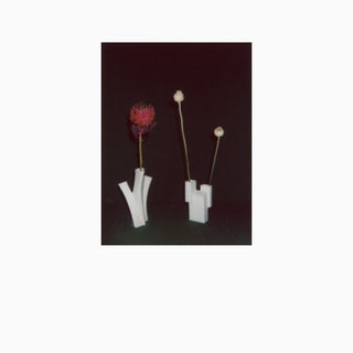 the album cover for Felicia Atkinson - Flower & Vessel