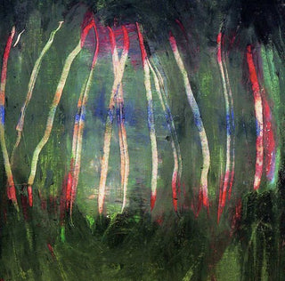 the album cover for Kammerflimmer Kollektief - Maander