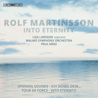 the album cover for Martinsson / Larsson / Magi - Into Eternity