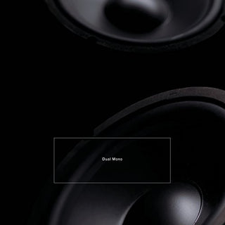 the album cover for Barreca / Leimer - Dual Mono