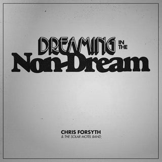 the album cover for Chris Forsyth & The Solar Motel Band - Dreaming In The Non-dream