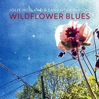 Jolie Holland- Wildflower Blues