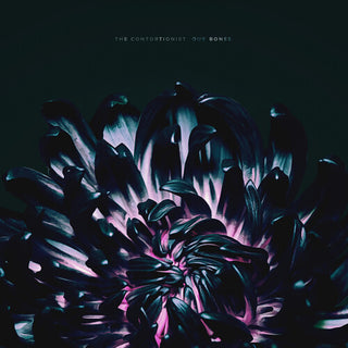 The Contortionist- Our Bones