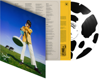 Declan McKenna- What Happened To The Beach? (DLX Moo Eco Pic Disc)