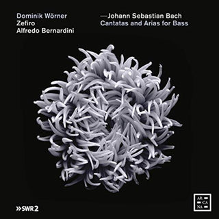 the album cover for J Bach S / Bernardini / Worner - Cantatas & Arias for Bass