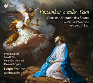 the album cover for Einsamkeit O Stilles Wesen / Various - Einsamkeit O Stilles Wesen