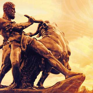 Magnolia- Ta Tjuren Vid Hornen