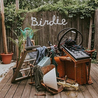 the album cover for Slaughter Beach, Dog - Birdie [Import]