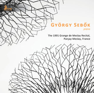 the album cover for Brahms / Sebok - 1991 Grange de Meslay Recital