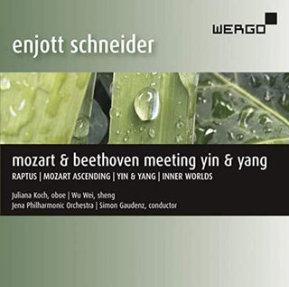 the album cover for Schneider / Koch / Gaudenz - Meeting Yin & Yang