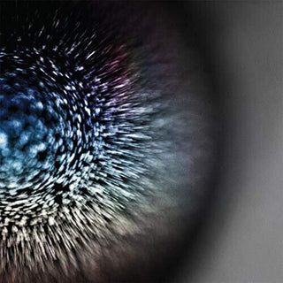Emptyset- Blossoms (Vinyl)