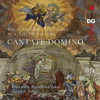 the album cover for Buxtehude / Ensemble Bachwerkvokal / Safari - Cantate Domino