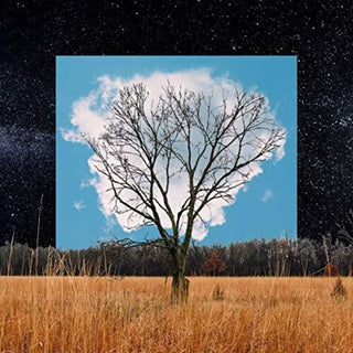 the album cover for Fink - Bloom Innocent