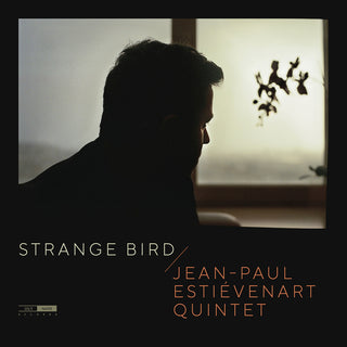 the album cover for Estievenart - Strange Bird