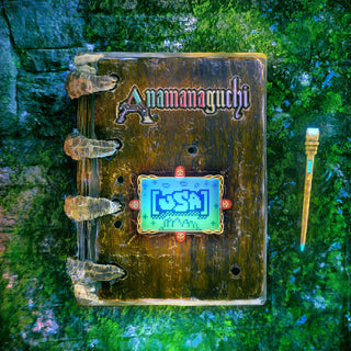 the album cover for Anamanaguchi - [USA]