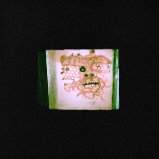 the album cover for Chris Orrick & Lasso - I Read That I Was Dead