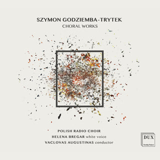 the album cover for Vaclovas Augustinas - Choral Works