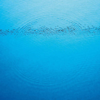 the album cover for Caribou - Suddenly