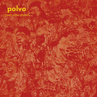 Polvo- Today's Active Lifestyles