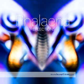 the album cover for Reflections / Various - Reflections