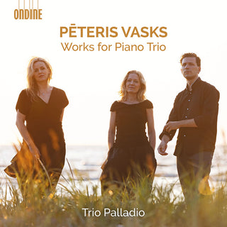 the album cover for Vasks / Trio Palladio - Works for Piano Trio
