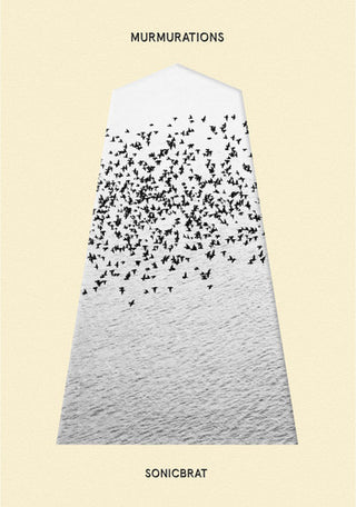the album cover for Sonicbrat - Murmurations