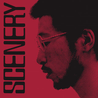 the album cover for Ryo Fukui - Scenery