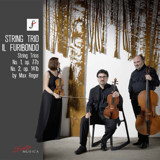 the album cover for Reger / Furibondo - String Trios 1