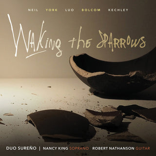 the album cover for Neil / Spencer - Walking the Sparrows