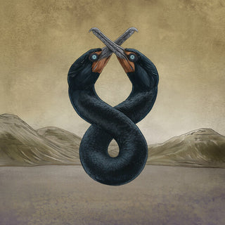San Fermin- Cormorant I & II (Vinyl)