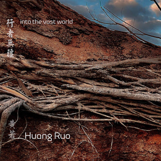 the album cover for Ruo / Zhang - Into the Vast World