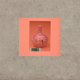 the album cover for Momus - Vivid