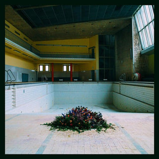 LYR- Call In The Crash Team