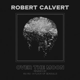 Robert Calvert- Over The Moon