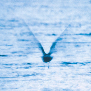 the album cover for Ryo Fukui - Mellow Dream