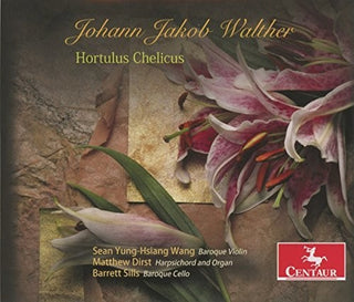 the album cover for Wang / Dirst / Sills - Hortulus Chelicus