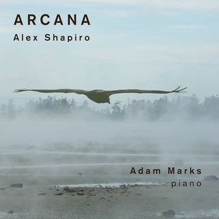 the album cover for Shapiro / Marks - Arcana