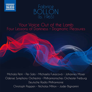 the album cover for Bollon - Your Voice Out of the Lamb
